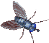+flying+bug+animation+ clipart
