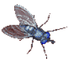 +flying+bug+animation+ clipart