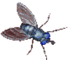 +flying+bug+animation+ clipart