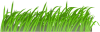 +grass+ clipart