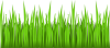 +grass+ clipart