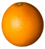 +orange+fruit+ clipart