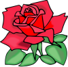 +red+rose+blossom+flower+ clipart