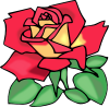 +rose+flower+blossom+ clipart