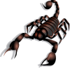+scorpion+insect+ clipart
