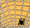 +spider+web+insect+ clipart