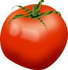 +tomato+ clipart
